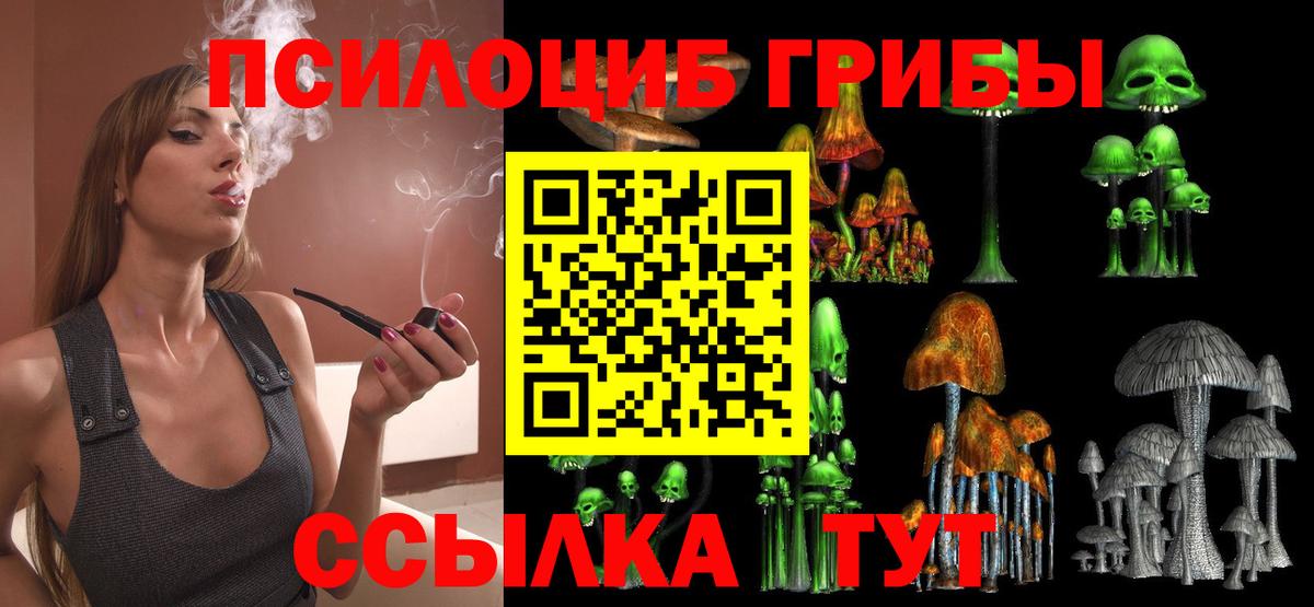купить закладку  Вход с VPN  Якутск  Псилоцибиновые грибы GOLDEN TEACHER 
