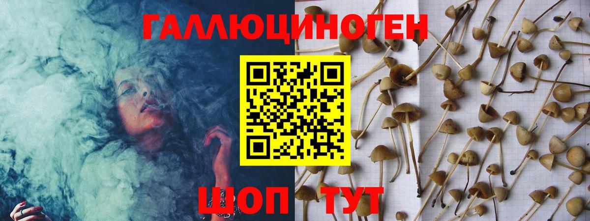 Псилоцибиновые грибы GOLDEN TEACHER Якутск